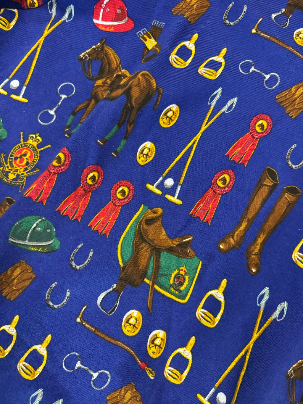 Polo Ralph Lauren Equestrian Graphic Hoodie