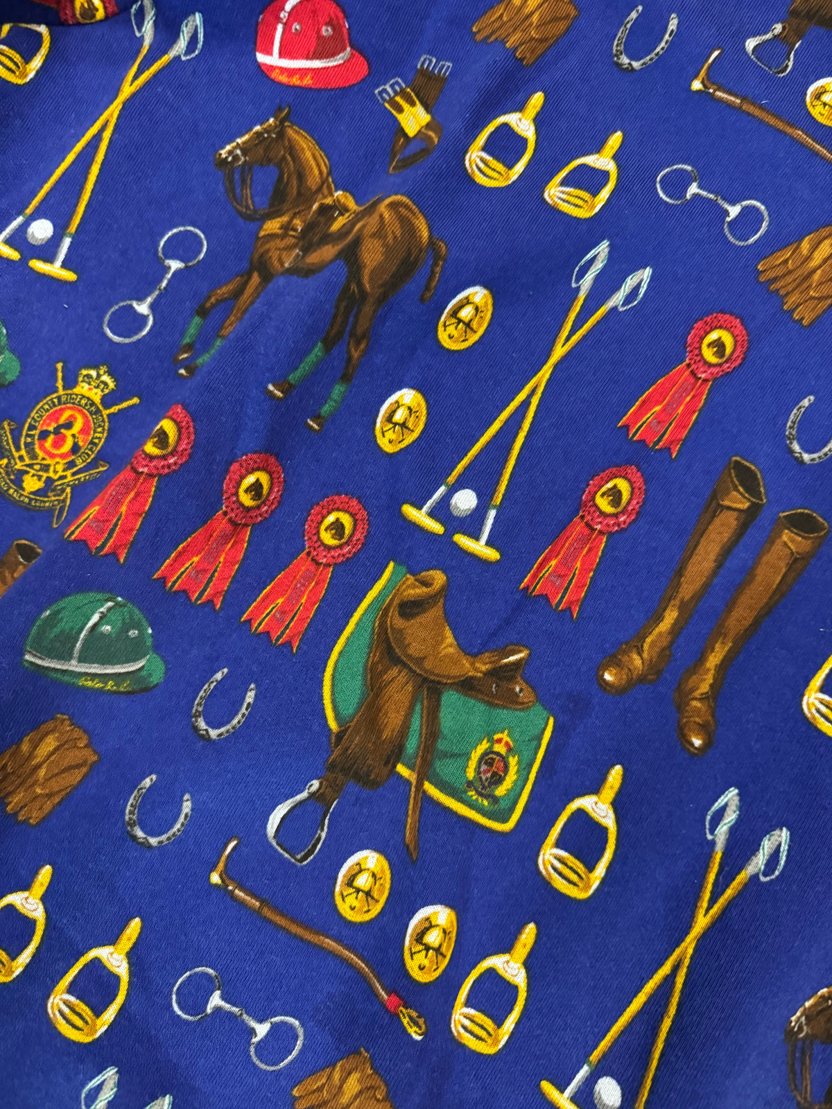 Polo Ralph Lauren Equestrian Graphic Hoodie