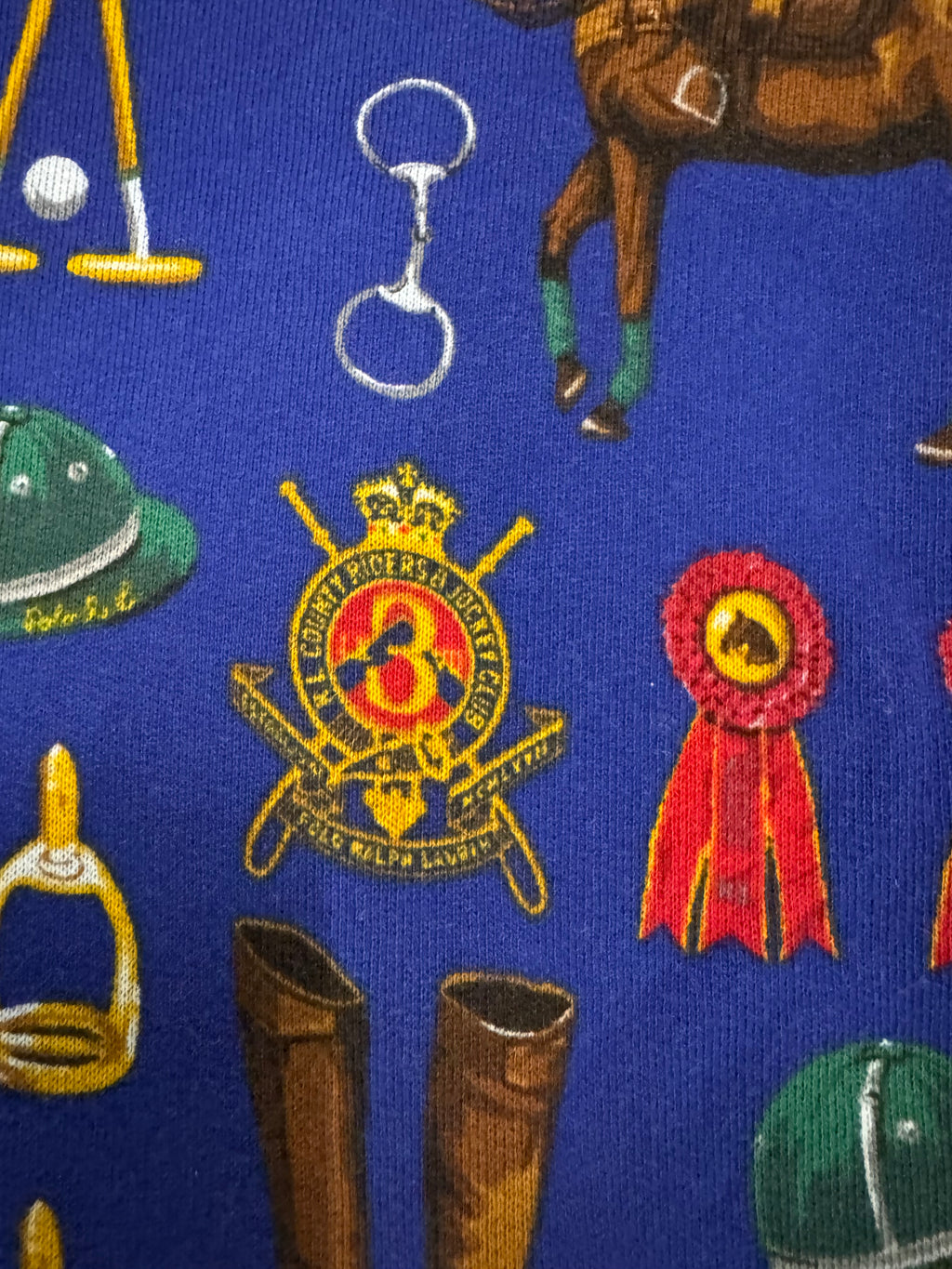 Polo Ralph Lauren Equestrian Graphic Hoodie