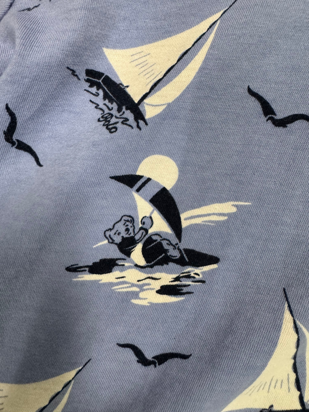 Polo Ralph Lauren Surf Bear Hoodie