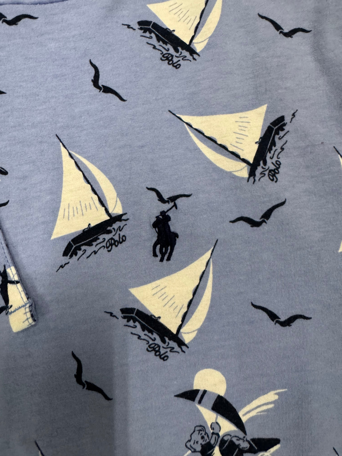 Polo Ralph Lauren Surf Bear Hoodie