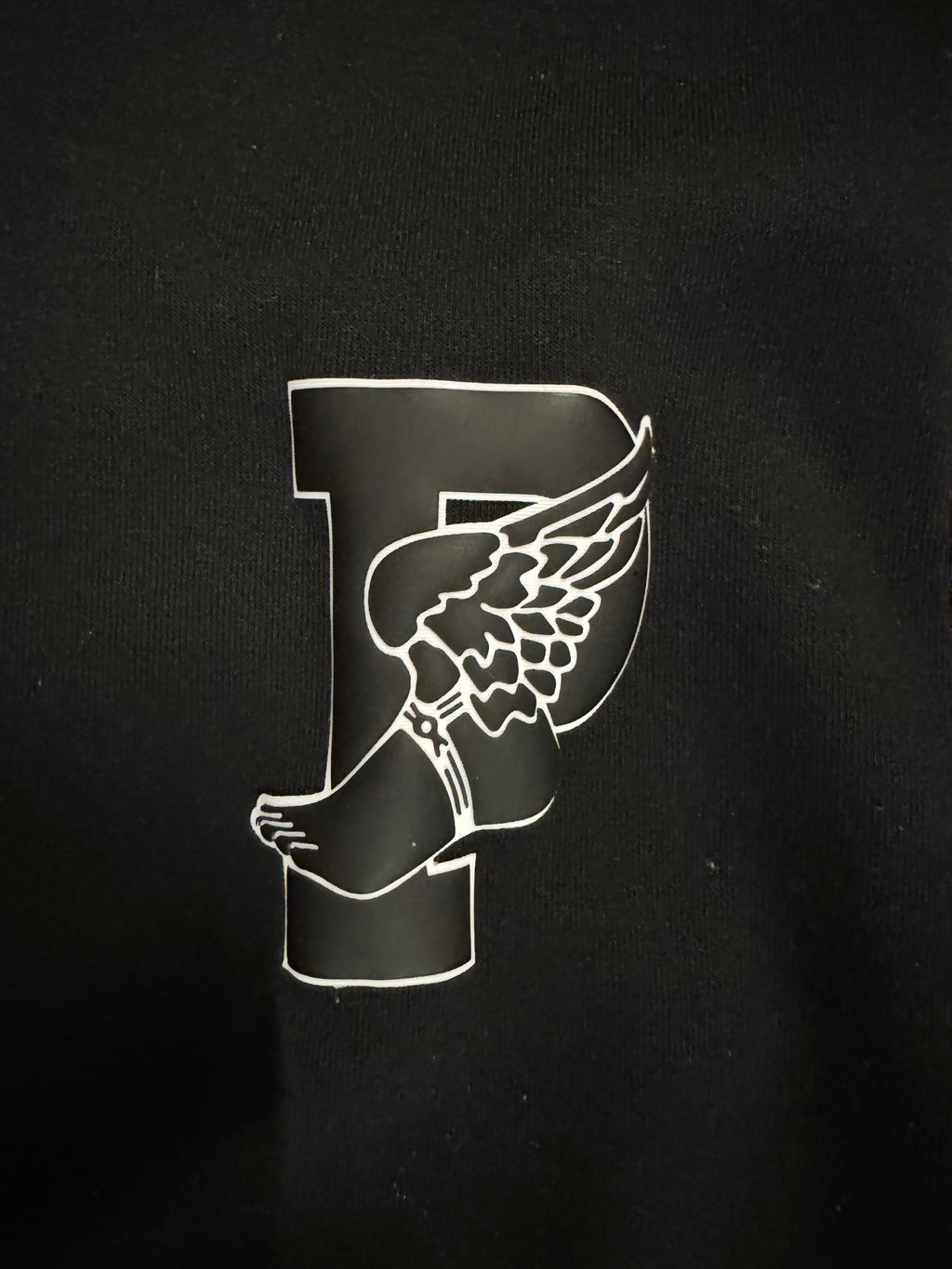 Polo Ralph Lauren Pwing Varsity Track Jacket